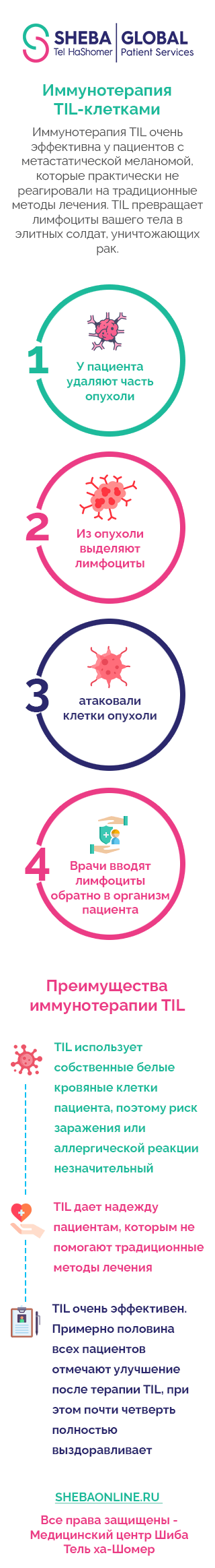 Иммунотерапия TIL-клетками 2